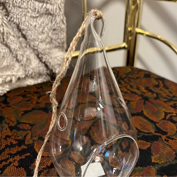 Hanging Glass Terrarium - Picture 4 of 7